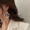 Water Drop Crystal Earrings-Lybra Intimates -Accessories